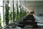 <a target=*_blank* href=*http://www.ikebana.fi*>http://www.ikebana.fi</a>